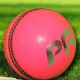 Cricket Ball